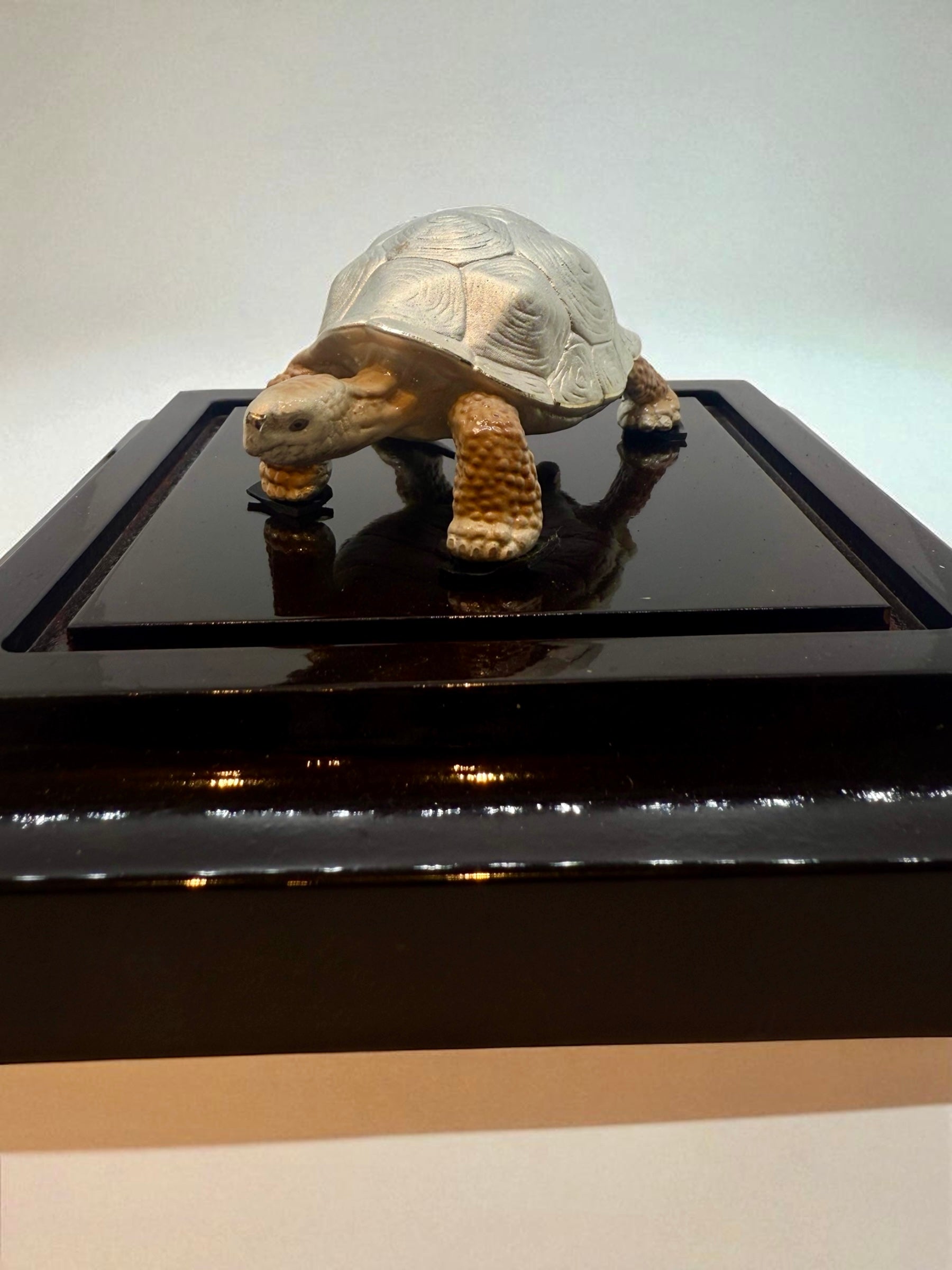 999 Silver Tortoise for Vastu, Pooja, Housewarming Gift | Lucky Charm | Gifting Grace | Idol with Acrylic Base