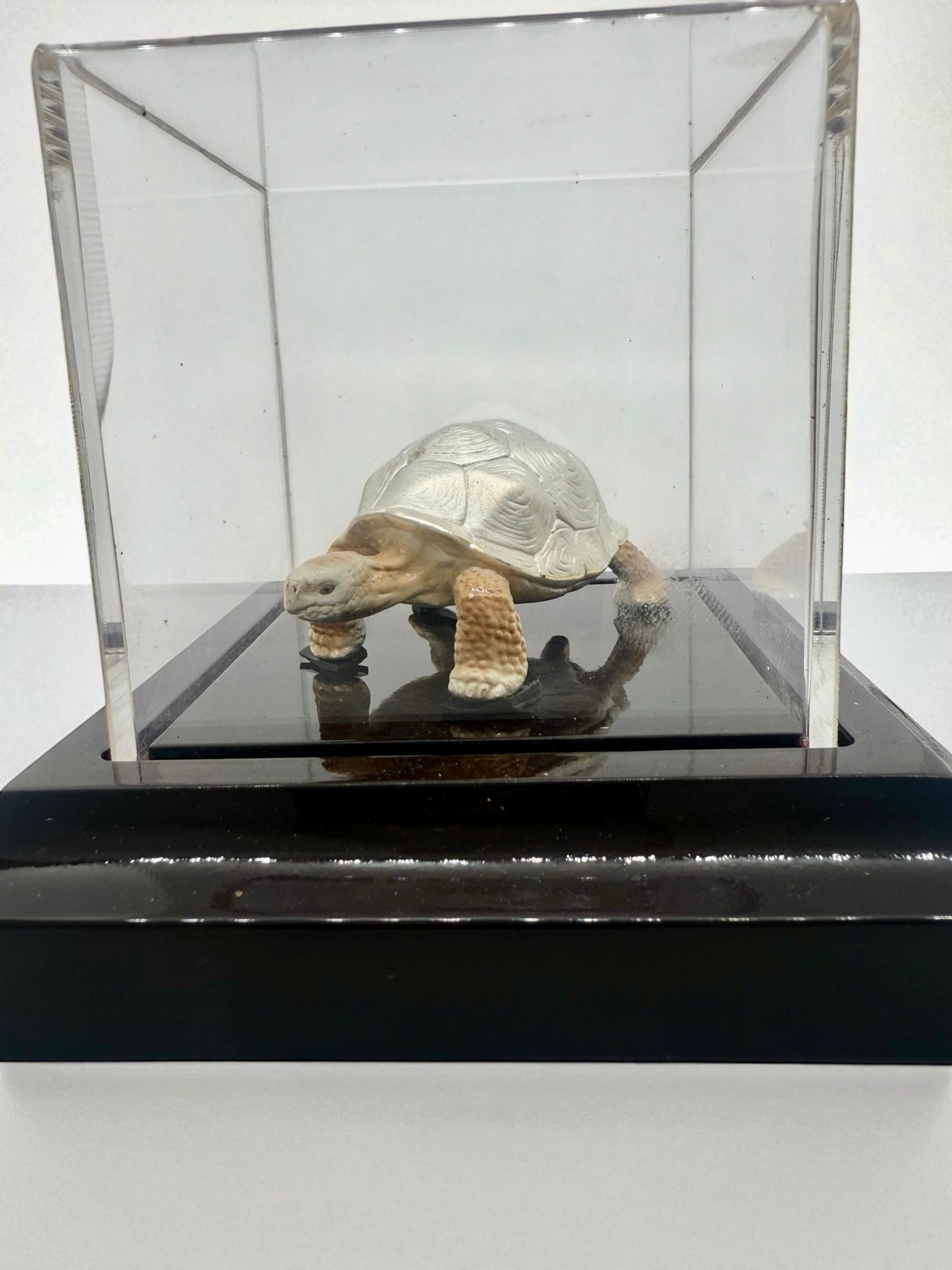 999 Silver Tortoise for Vastu, Pooja, Housewarming Gift | Lucky Charm | Gifting Grace | Idol with Acrylic Base